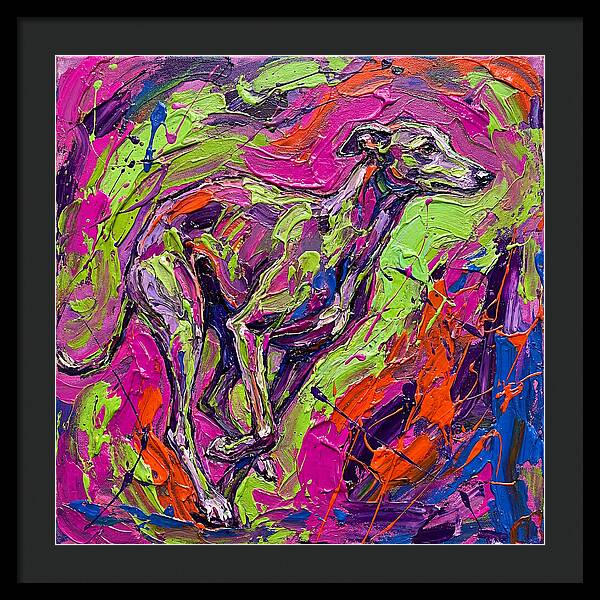 Greyhound In Vibrant Motion