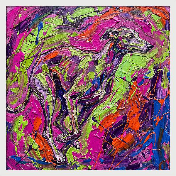 Greyhound In Vibrant Motion