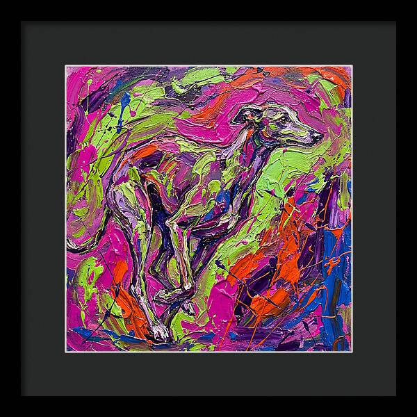 Greyhound In Vibrant Motion