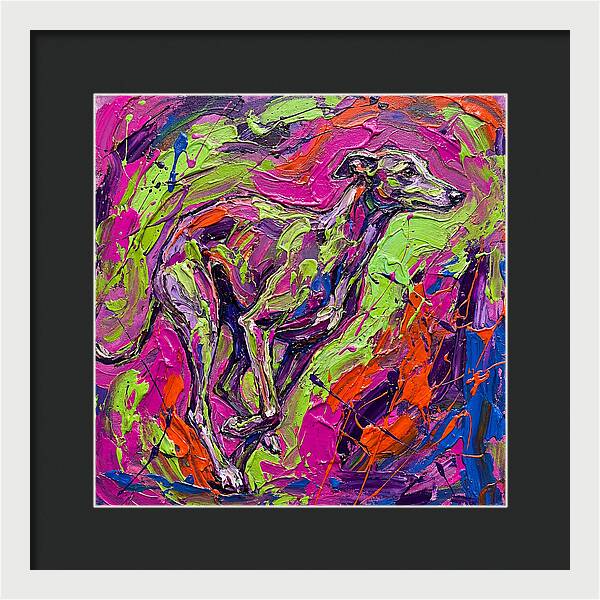 Greyhound In Vibrant Motion