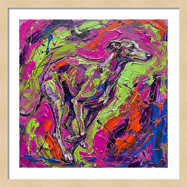 Greyhound In Vibrant Motion