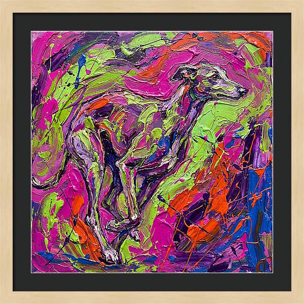 Greyhound In Vibrant Motion