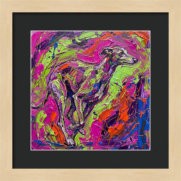 Greyhound In Vibrant Motion