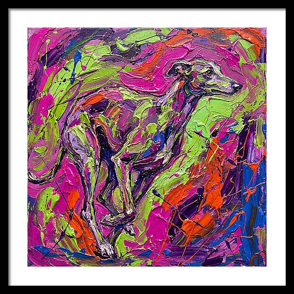 Greyhound In Vibrant Motion