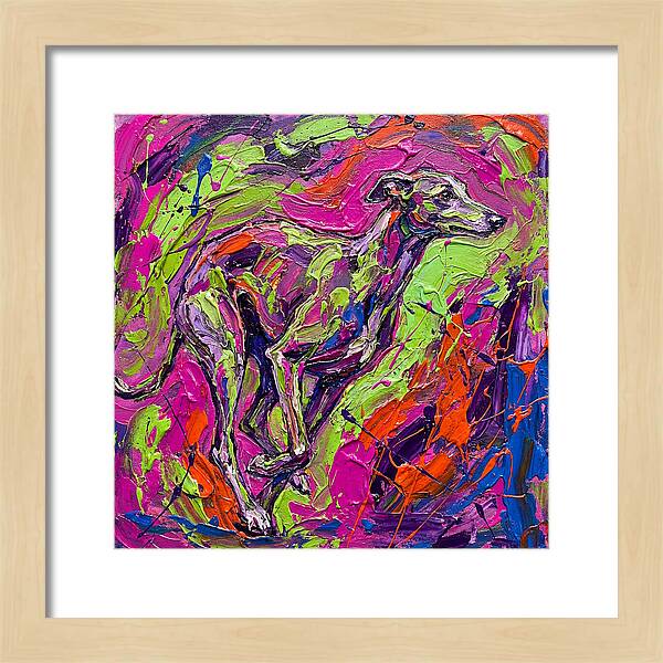 Greyhound In Vibrant Motion