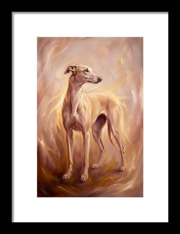Greyhound Portrait