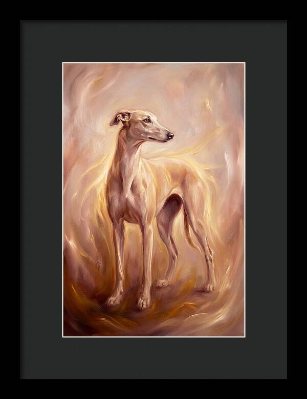 Greyhound Portrait