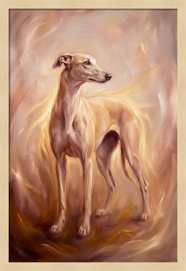 Greyhound Portrait