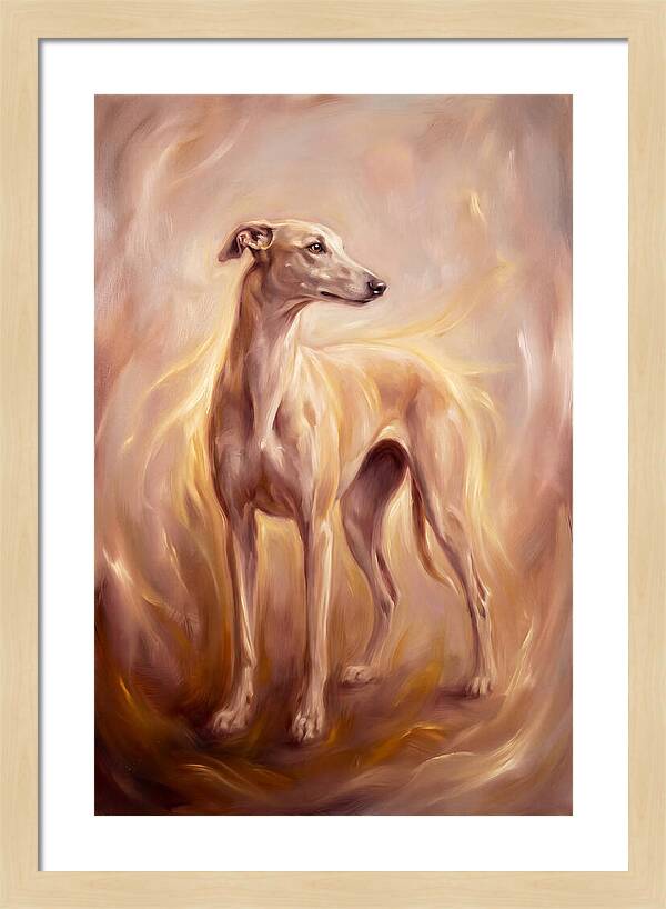 Greyhound Portrait