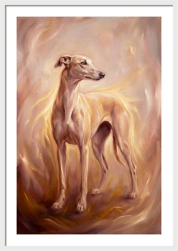 Greyhound Portrait