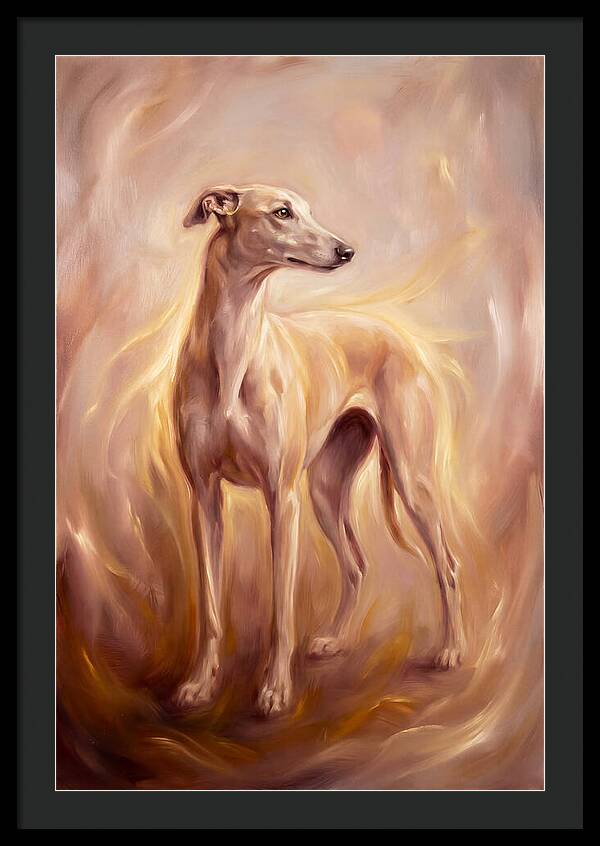 Greyhound Portrait