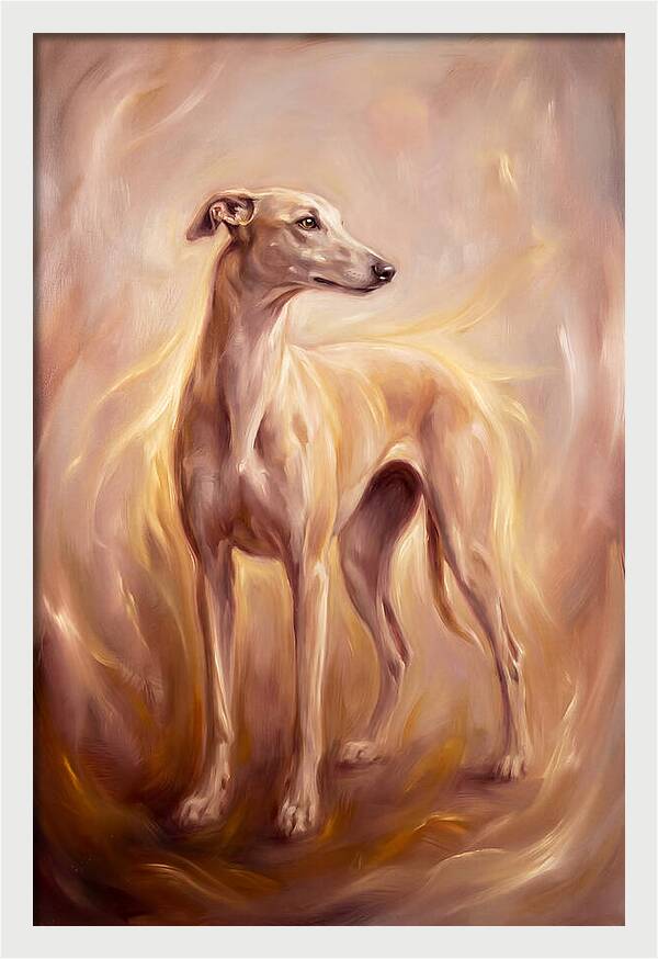 Greyhound Portrait