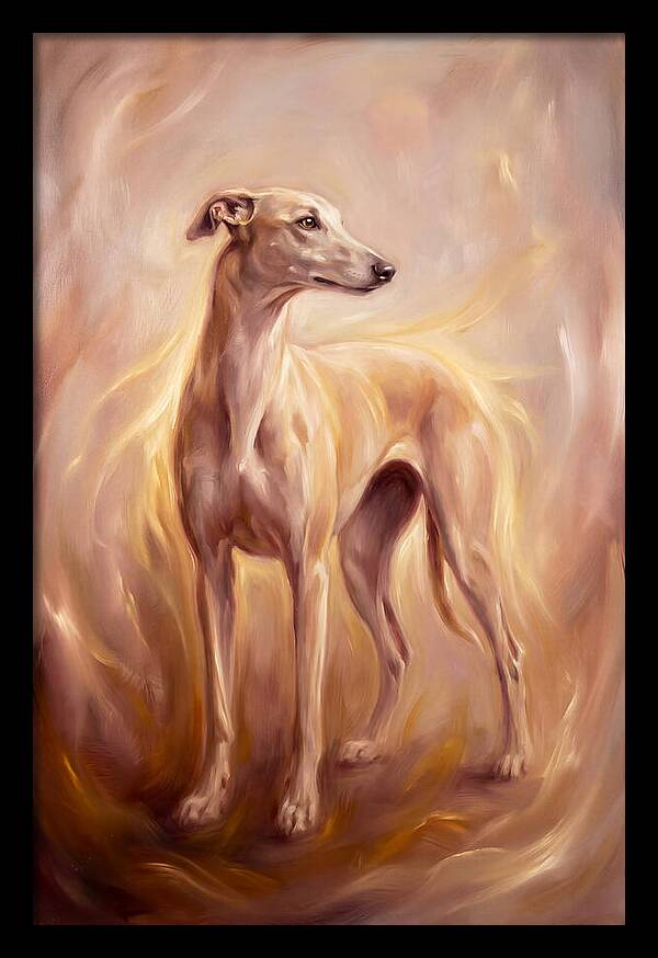 Greyhound Portrait