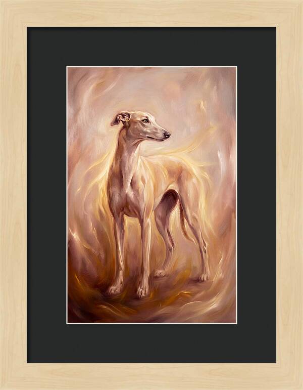 Greyhound Portrait