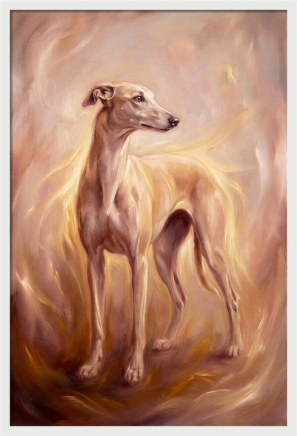 Greyhound Portrait