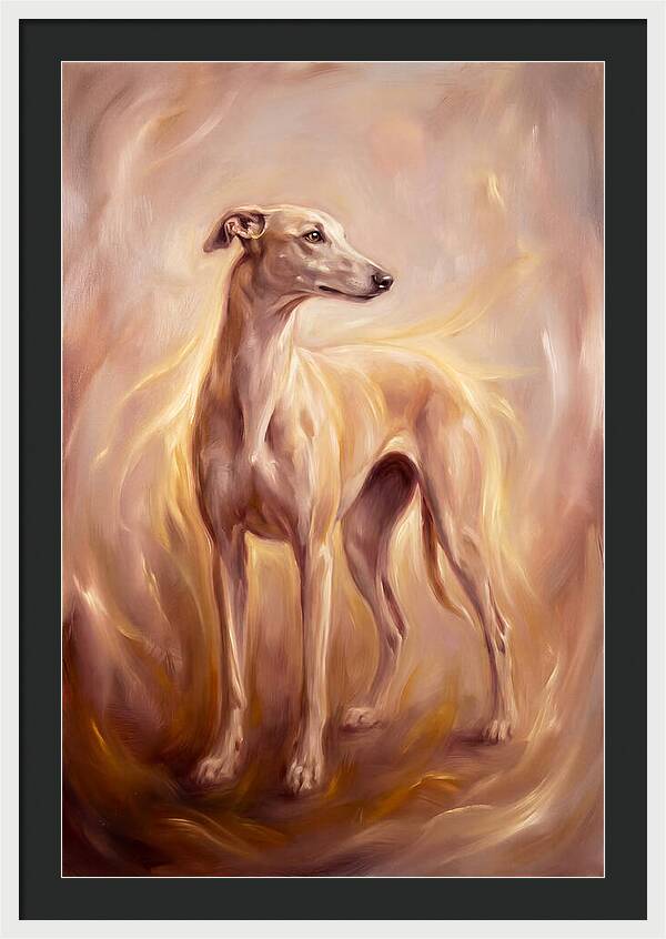 Greyhound Portrait