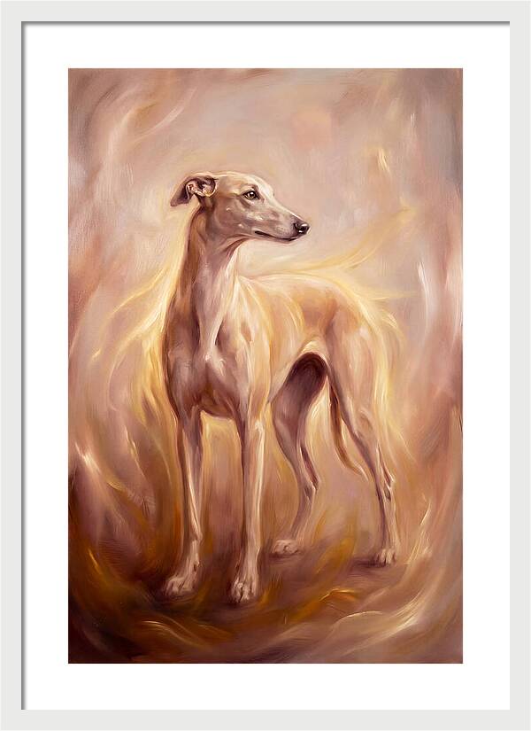 Greyhound Portrait