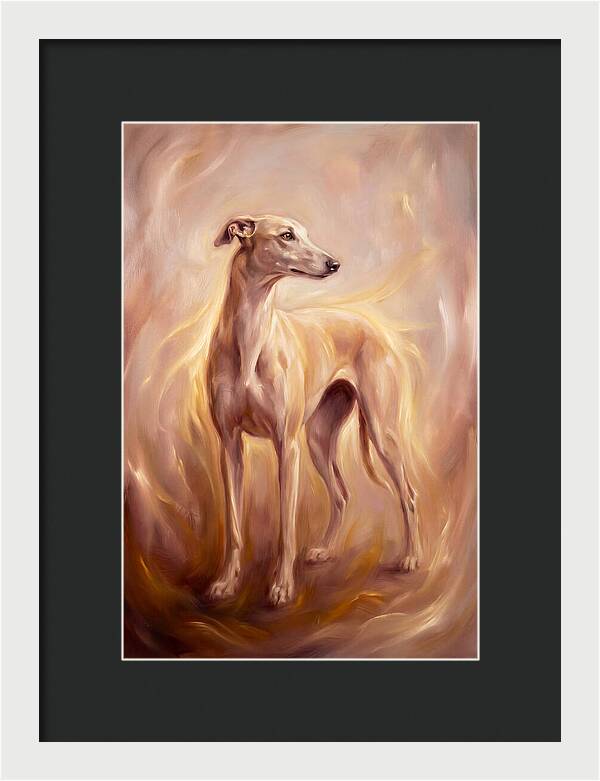 Greyhound Portrait