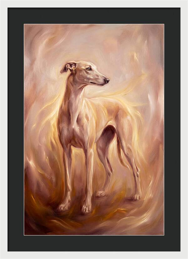 Greyhound Portrait