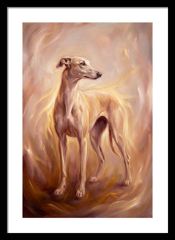 Greyhound Portrait