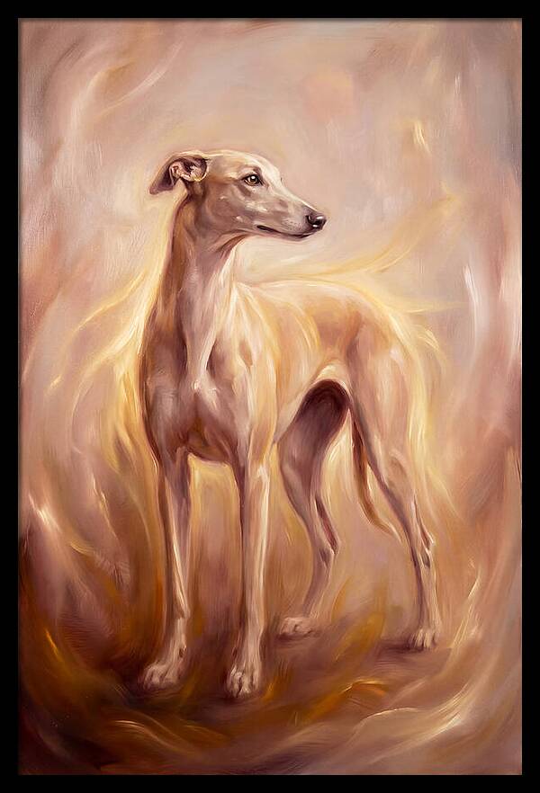 Greyhound Portrait