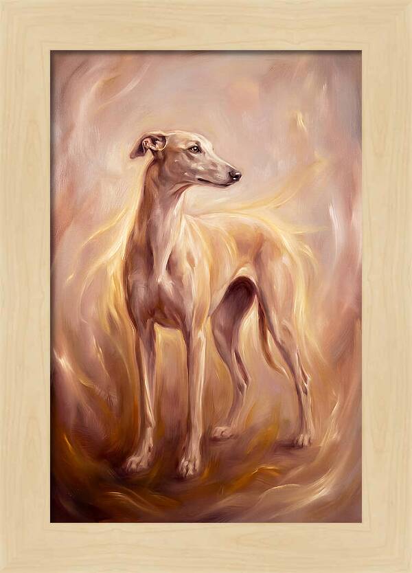 Greyhound Portrait