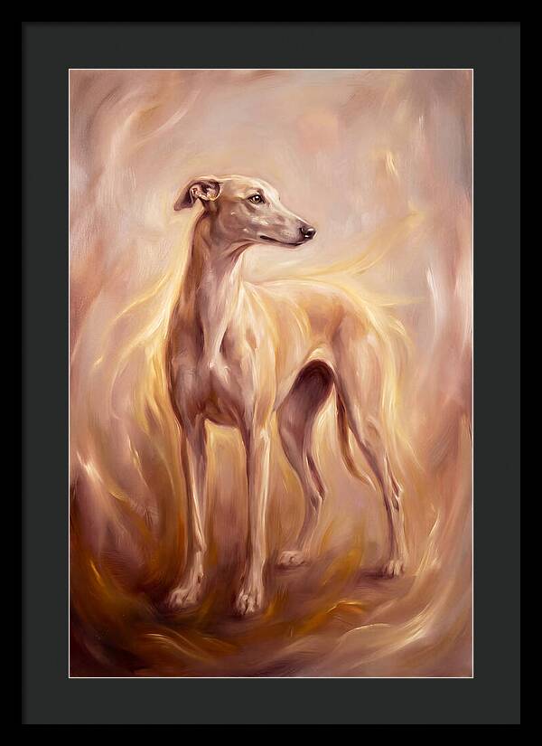 Greyhound Portrait