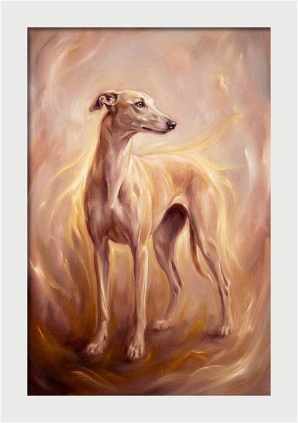 Greyhound Portrait