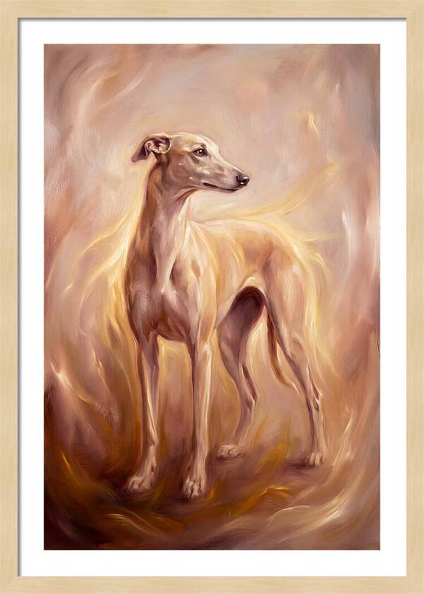 Greyhound Portrait