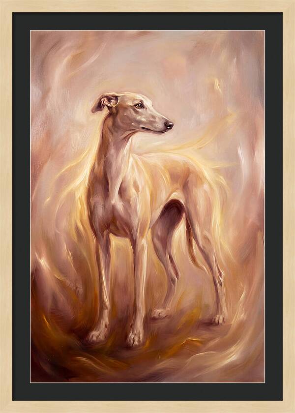Greyhound Portrait