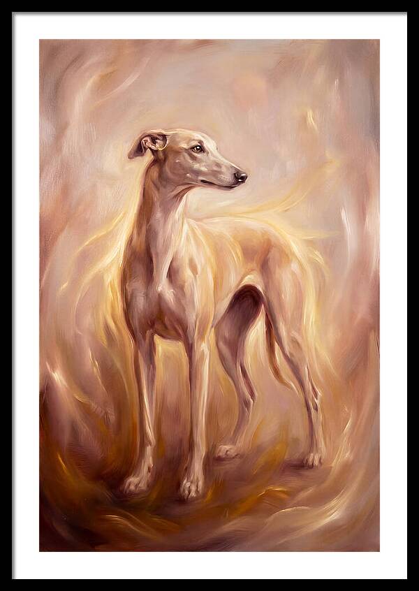 Greyhound Portrait