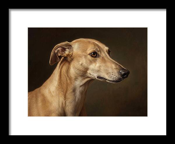 Greyhound Portrait In Realism