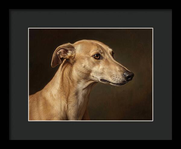 Greyhound Portrait In Realism