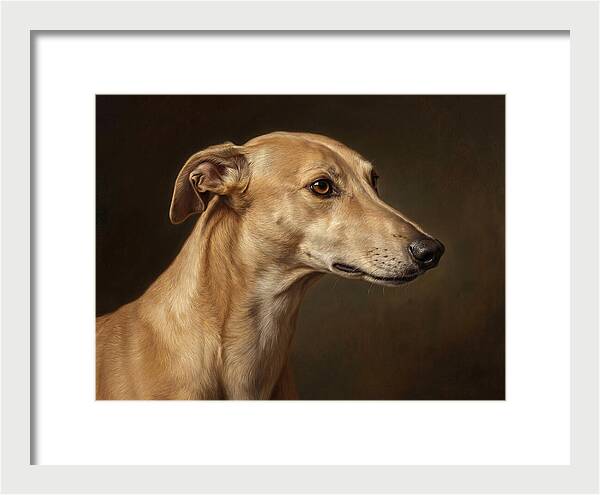 Greyhound Portrait In Realism