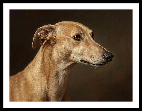 Greyhound Portrait In Realism