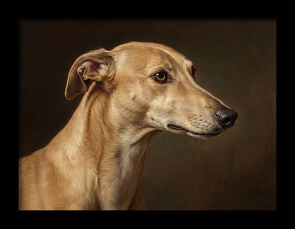 Greyhound Portrait In Realism
