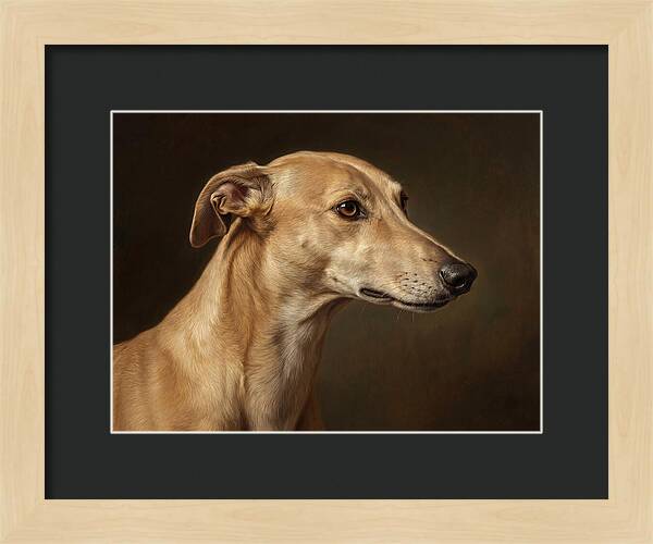 Greyhound Portrait In Realism