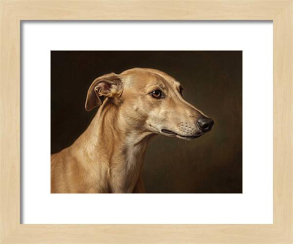 Greyhound Portrait In Realism