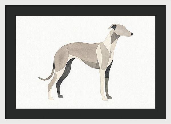 Greyhound Silhouette In Watercolor