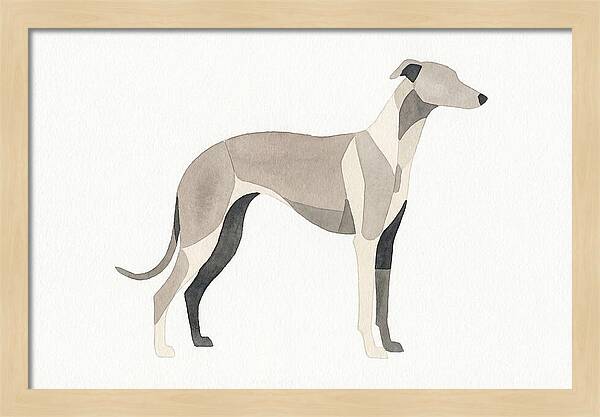 Greyhound Silhouette In Watercolor