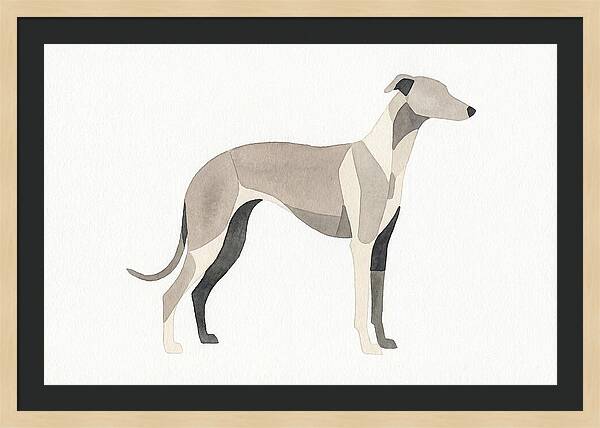 Greyhound Silhouette In Watercolor