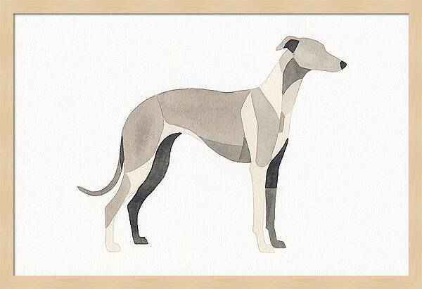 Greyhound Silhouette In Watercolor