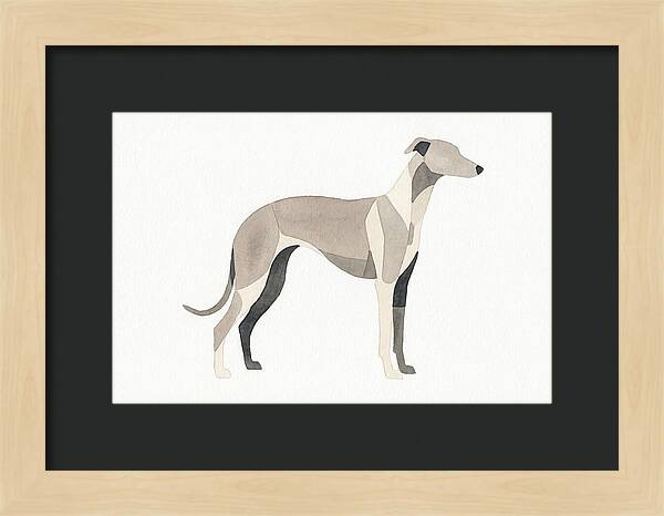 Greyhound Silhouette In Watercolor