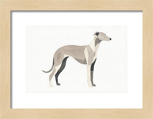 Greyhound Silhouette In Watercolor