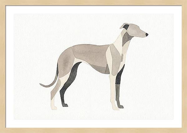 Greyhound Silhouette In Watercolor