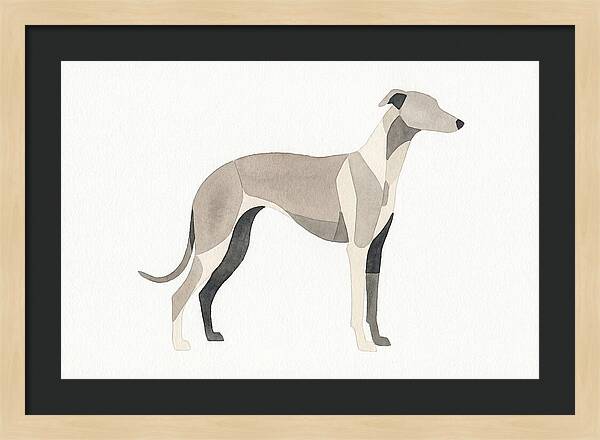 Greyhound Silhouette In Watercolor
