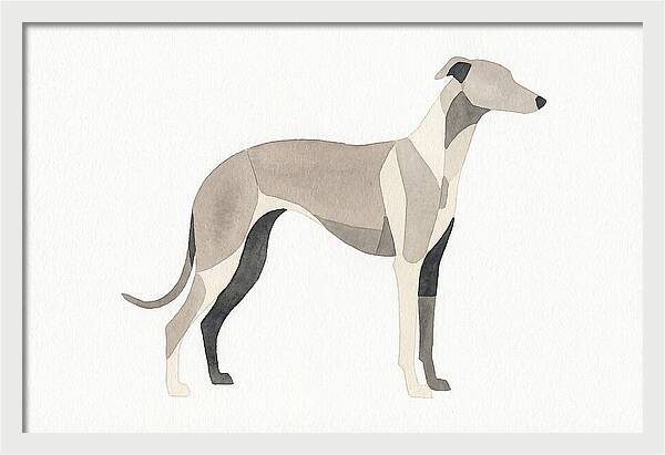Greyhound Silhouette In Watercolor