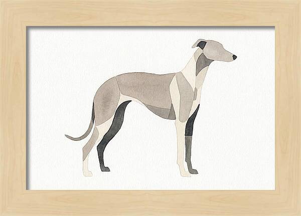 Greyhound Silhouette In Watercolor