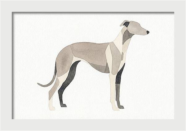 Greyhound Silhouette In Watercolor