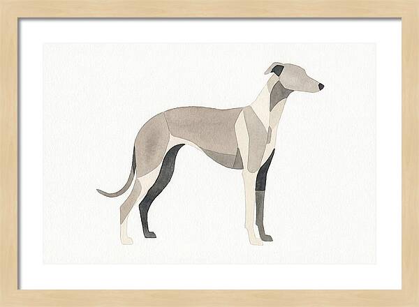 Greyhound Silhouette In Watercolor